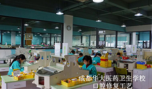 口腔修復工藝專業(yè)