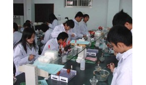 生命科學(xué)學(xué)院-生物科學(xué)類