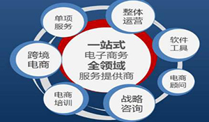 電子商務(wù)專業(yè)