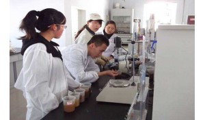 化學工程與工藝專業(yè)