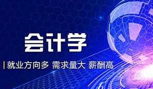 會計(jì)學(xué)專業(yè)