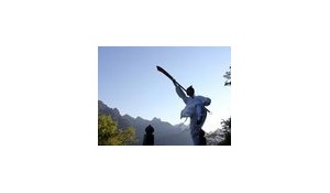武術