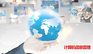 信息管理與信息系統(tǒng)