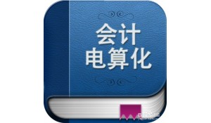 會(huì)計(jì)電算化