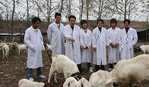 動物科學(xué)專業(yè)