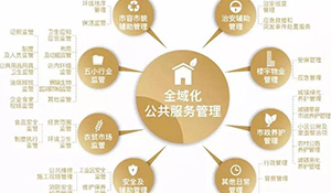 公共文化服務(wù)與管理