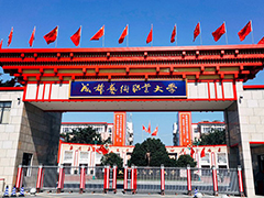2020年成都藝術(shù)職業(yè)大學(xué)藝術(shù)類特殊專業(yè)校考（江西?。┱猩喺?/></a>
<div   id=