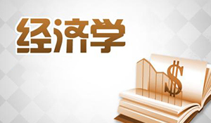 經(jīng)濟(jì)學(xué)專業(yè)
