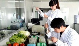 食品生物工藝