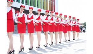 航空服務(wù)/航空乘務(wù)/機(jī)場安檢/地勤