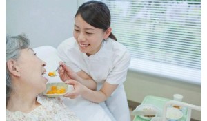 老年人服務(wù)與管理