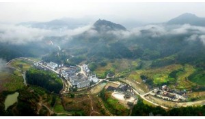 旅游管理