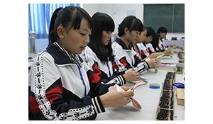 會(huì)計(jì)電算化