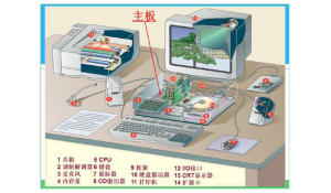 計(jì)算機(jī)網(wǎng)絡(luò)應(yīng)用