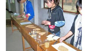 現(xiàn)代農(nóng)藝技術(shù)(種子生產(chǎn)與經(jīng)營(yíng)方向)