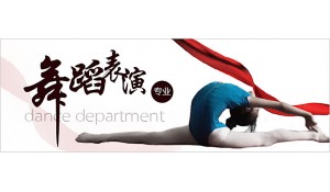 舞蹈表演專業(yè)