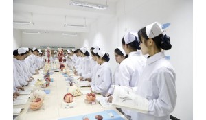 護(hù)理專業(yè)