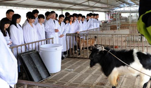 畜牧獸醫(yī)
