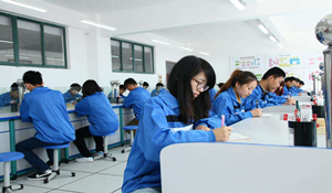 會(huì)計(jì)專業(yè)