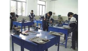 數(shù)控技術(shù)(含模具制造)