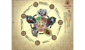 藏醫(yī)醫(yī)療與藏藥