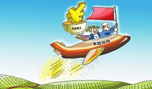 農(nóng)村綜合經(jīng)濟(jì)管理