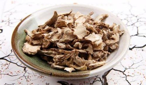 中藥學(xué)專業(yè)