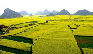 農(nóng)業(yè)經(jīng)濟(jì)管理專業(yè)