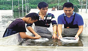水產(chǎn)養(yǎng)殖技術(shù)專業(yè)