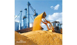 農(nóng)業(yè)機(jī)械使用與維護(hù)