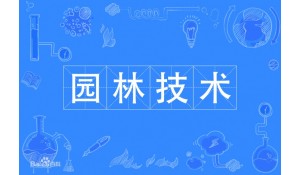 園林技術(shù)