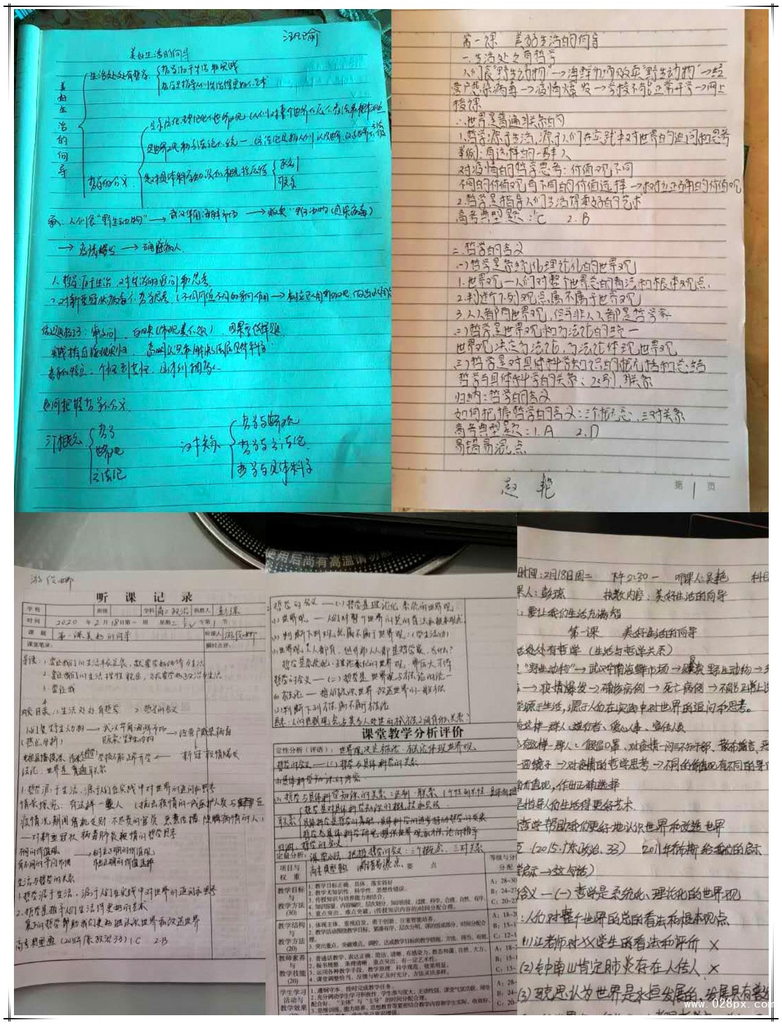 18.jpg 