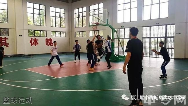 都江堰市青城山高級中學(xué)籃球運動