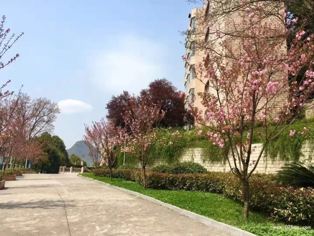 微信圖片_20190516101920.jpg