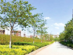 成都中職類學(xué)校_四川的?？茖W(xué)校_五年制大專學(xué)校