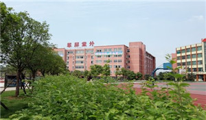 宜賓翠屏棠湖外語(yǔ)學(xué)校