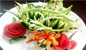 烹飪專業(yè)