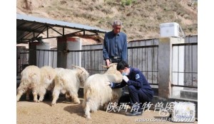 畜牧獸醫(yī)