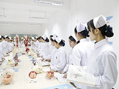 四川護(hù)理專業(yè)專升本考哪些科目