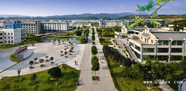 大專院校排名