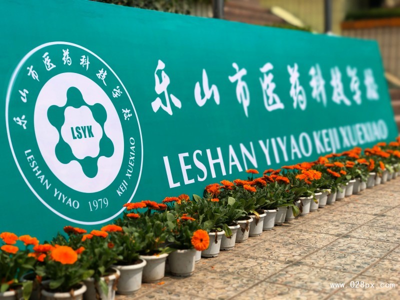 樂山醫(yī)藥科技學校是民辦還是公辦