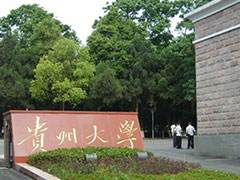貴州大學(xué)錄取分數(shù)線