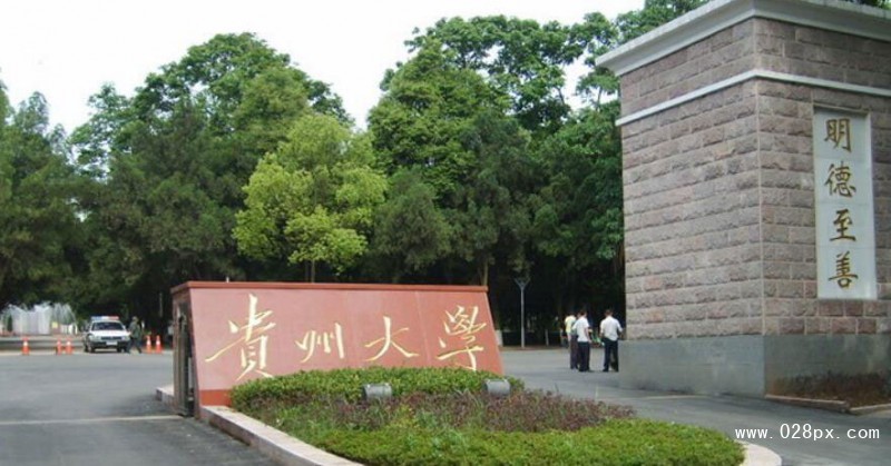 貴州大學錄取分數(shù)線