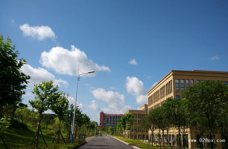 重慶電信職業(yè)學(xué)院
