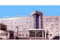 沈陽(yáng)市藝術(shù)幼兒師范學(xué)校