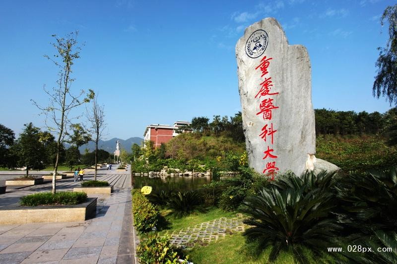 重慶醫(yī)科大學錄取分數(shù)線