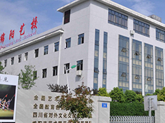 四川綿陽藝術學校