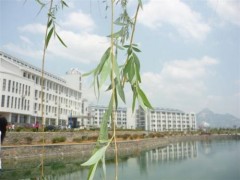 泰安衛(wèi)校