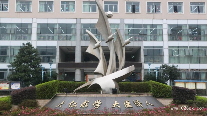 四川衛(wèi)生康復職業(yè)學院官網