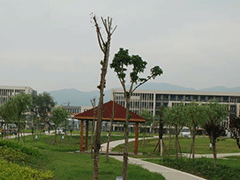 四川信息技術(shù)學(xué)院